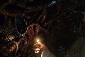 Очень странные дела scr.3