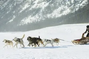 Клондайк scr.1