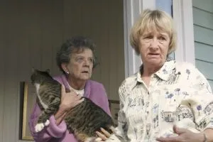 Отчаянные домохозяйки scr.1