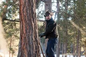 Йеллоустоун scr.2