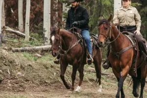 Йеллоустоун scr.1