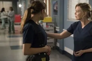 Анатомия страсти scr.1