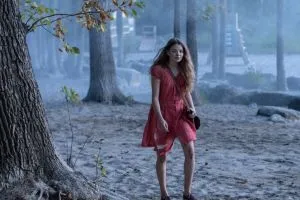 Правда о деле Гарри Квеберта scr.4