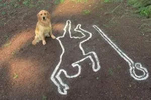 Десятое королевство scr.4